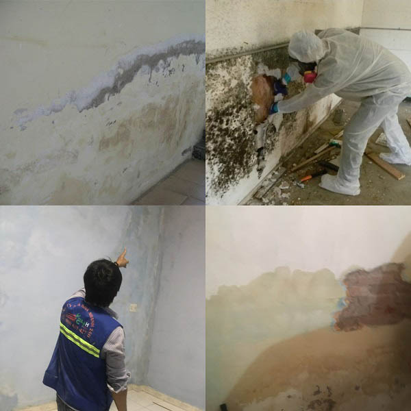 Dịch vụ chống thấm tường nhà