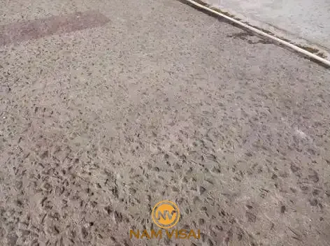 Kiểm soát cấp phối & cốt liệu