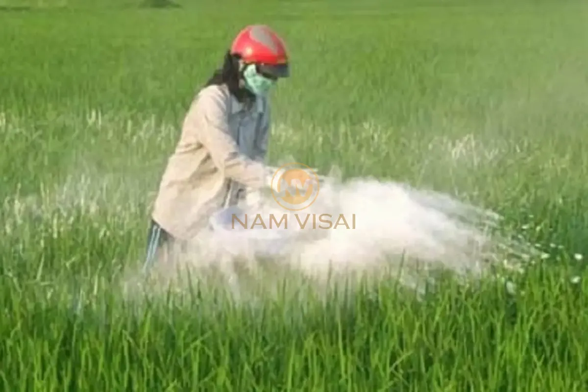 Công dụng của vôi nông nghiệp