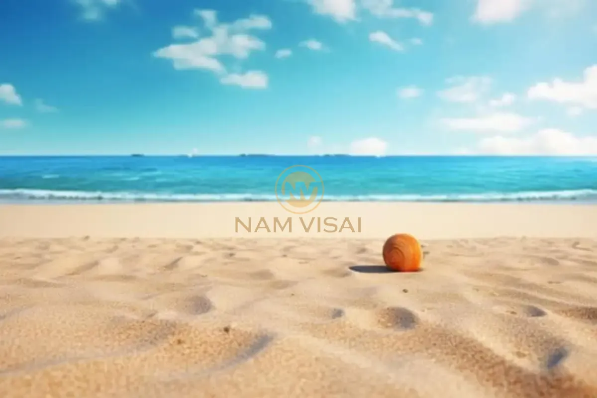 Vì sao cát biển không phù hợp cho xây dựng