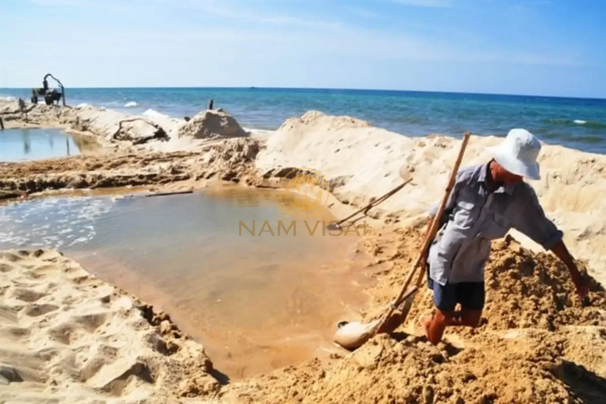 Trường hợp nào có thể dùng cát biển