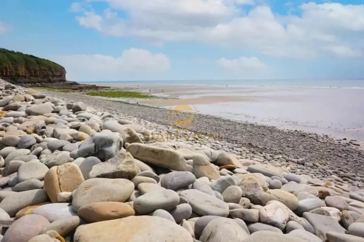 Phân Loại Đá Cuội Theo Nguồn Gốc Hình Thành