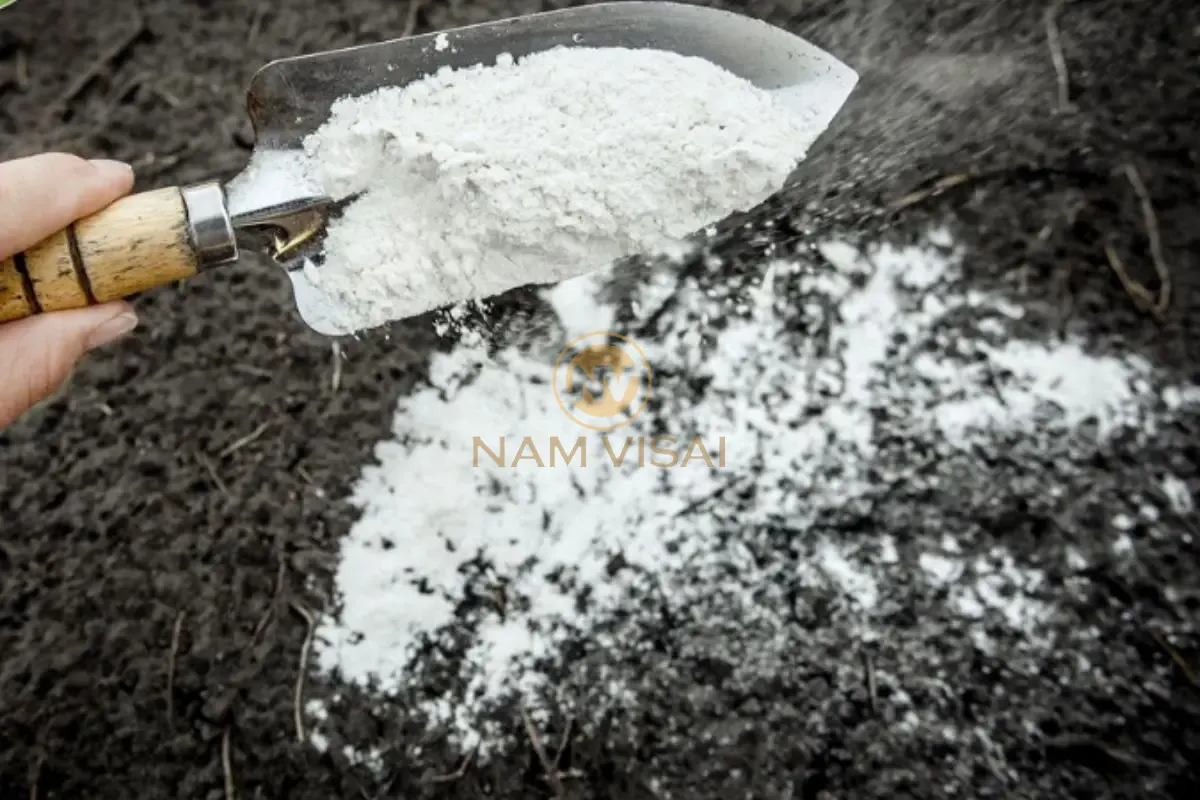 Ứng dụng vôi tôi trong xây dựng